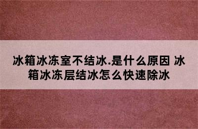 冰箱冰冻室不结冰.是什么原因 冰箱冰冻层结冰怎么快速除冰